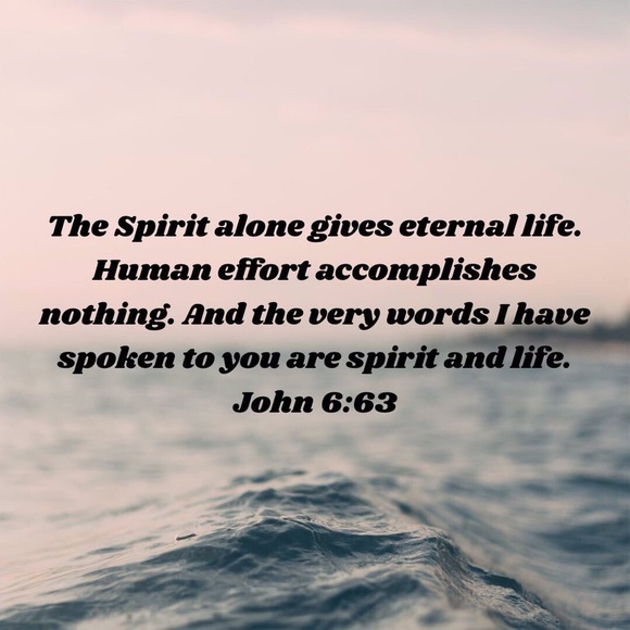 Meet your Posher, Lindsay - Picture 1 of 1